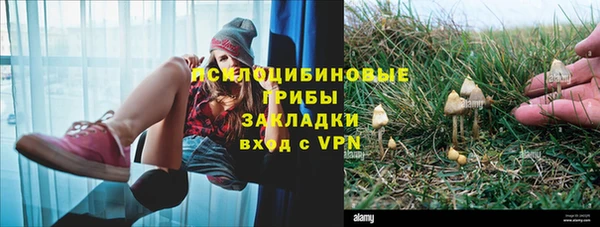 дмт Арсеньев